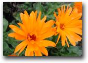 Eliminating Glamours – Transforming Negative Feelings