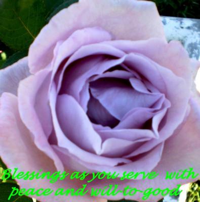 Healing Power of Your Thoughts